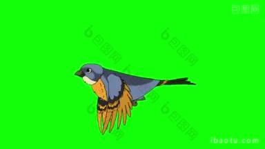 蓝鸟飞动画循环运动图形孤立在绿色屏幕上